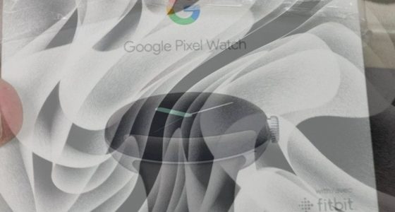 Google Pixel Watch Box Found and Leaked Online - The Leak
